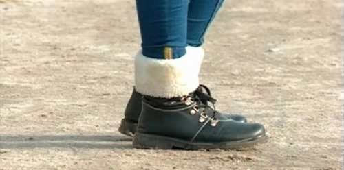 белых медведей становится меньше, но встречаются они чаще