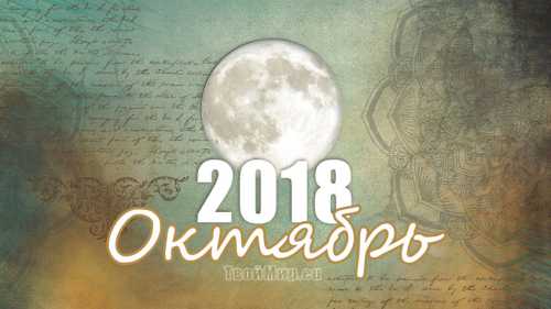 лунный педикюр, поэтапная схема создания своими руками