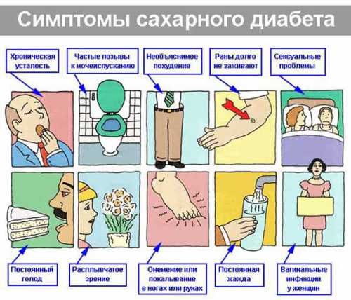 водянка у собаки: симптомы и лечение, что делать в домашних условиях, причины патологии